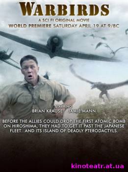 Птицы-воители / Warbirds (2008) Фильм онлайн cмотреть онлайн