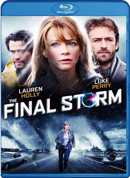 Беспощадный шторм / Final Storm (2010)